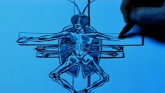 Autobiography of an Insect Trailer