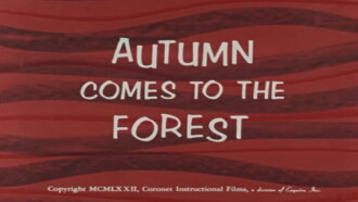 Autumn Comes to the Forest Trailer