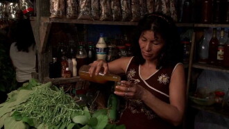 Ayahuasca Diary Trailer