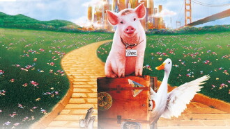 Babe: Pig in the City Trailer