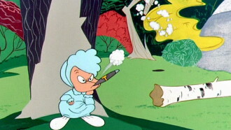 Baby Buggy Bunny Trailer
