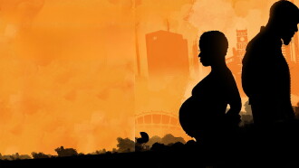 Baby Maker Trailer