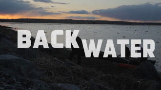Back Water Trailer