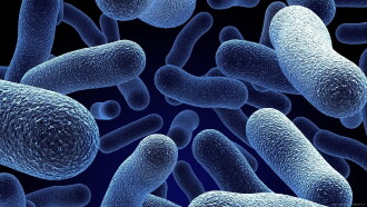 Bacterial World Trailer