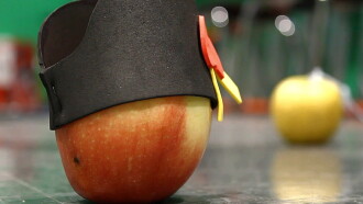 Bad Apple Trailer