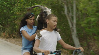 Bad Lucky Goat Trailer