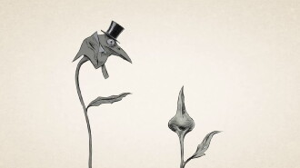 Bad Seeds Trailer
