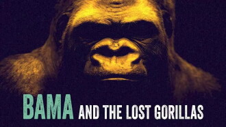 Bama and the Lost Gorillas Trailer