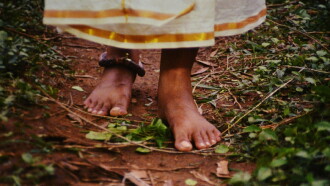 Bamboo Flute Trailer