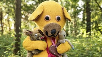 Bamse møder den store verden Trailer