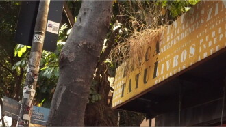 Banca Tatuí Trailer