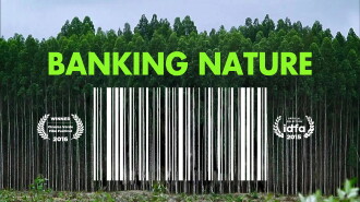 Banking Nature Trailer