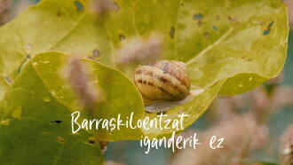Barraskiloentzat iganderik ez Trailer