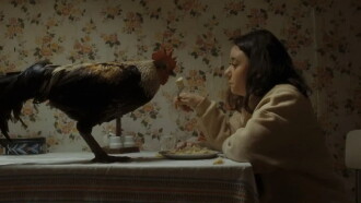 Beaks Trailer