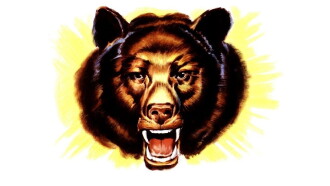 Bear Country Trailer