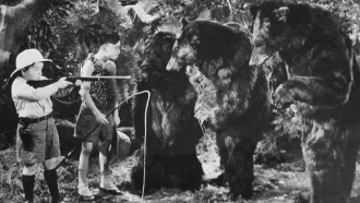 Bear Facts Trailer