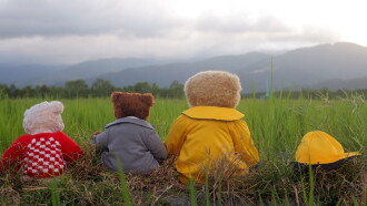 Bear It Trailer