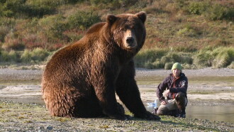 Bear-Like Trailer
