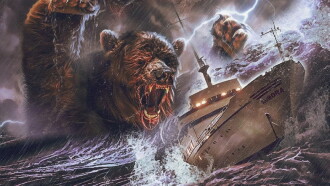Bears on a Ship Trailer