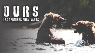 Bears : Ultimate Survivors Trailer