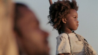 Beasts of the Southern Wild Trailer