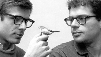 Beat Generation Trailer