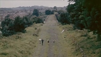 Beauty in the Borough Trailer