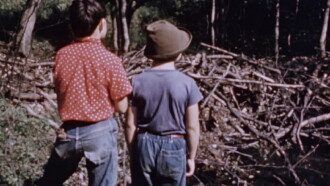 Beaver Dam Trailer