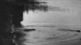 Beavers in Ukraine Trailer