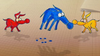 Becolored Trailer