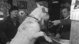 Beer-drinking Billy Trailer