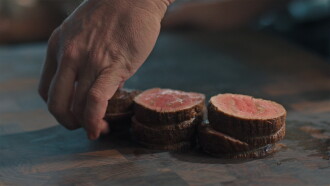 Before the Plate Trailer