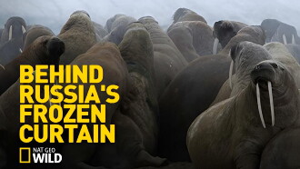 Behind Russia's Frozen Curtain Trailer