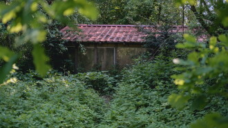 Behind The Garden Gate Trailer