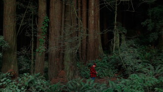 Behind the Redwood Curtain Trailer