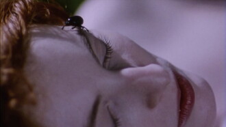 Belle de Nature Trailer