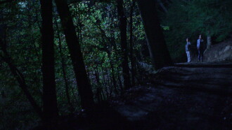 Below the Trees Trailer