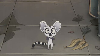 Bem, un lémur en fuga Trailer