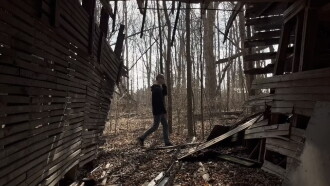 Beneath the Canopy Trailer