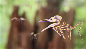 Bestiary Unknown Trailer