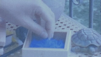 Bicho Azul Trailer