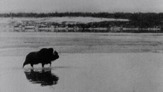Big Game in the Sub-Arctic of Canada Trailer