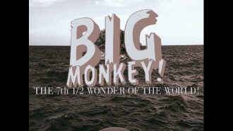 Big Monkey! Trailer