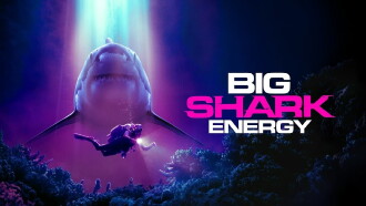Big Shark Energy Trailer