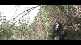 Bigfoot Creek Trailer