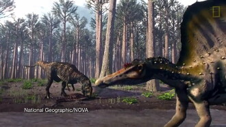 Bigger Than T. Rex Trailer
