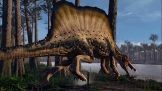Bigger Than T. Rex Trailer