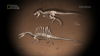 Bigger Than T.Rex Trailer