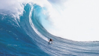 Billabong Odyssey Trailer
