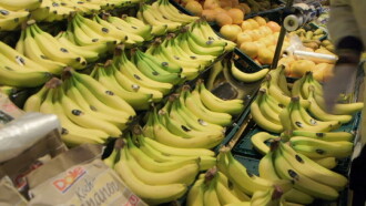 Billig. Billiger. Banane Trailer